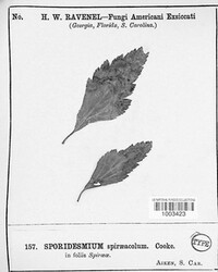 Image Associated With the Occurence